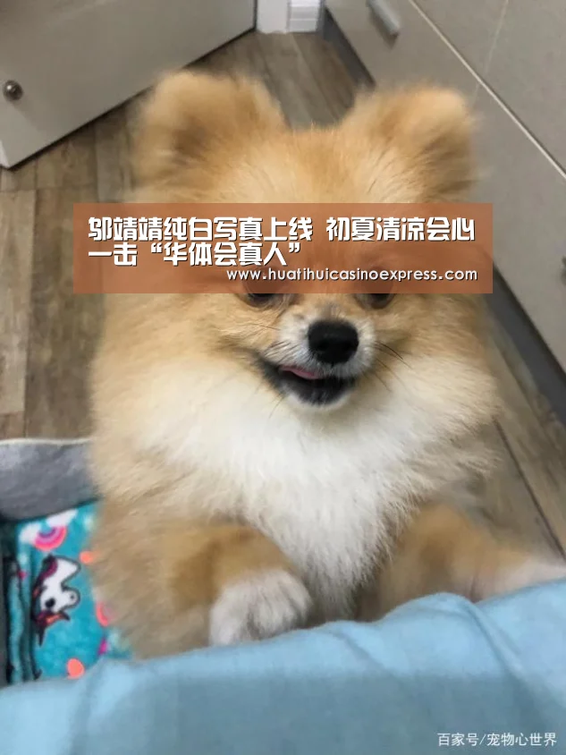 邬靖靖纯白写真上线 初夏清凉会心一击“华体会真人”(图2) 华体会登录